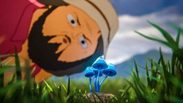 mushroom-cse.jpg
